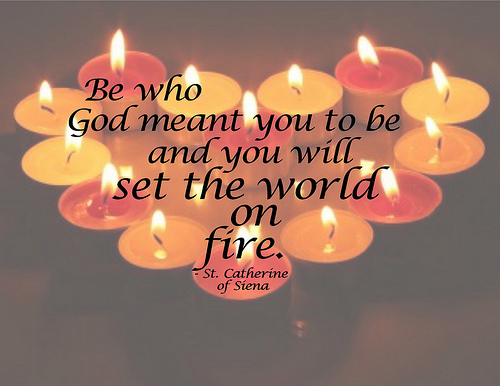 5709313201_390794bfa3